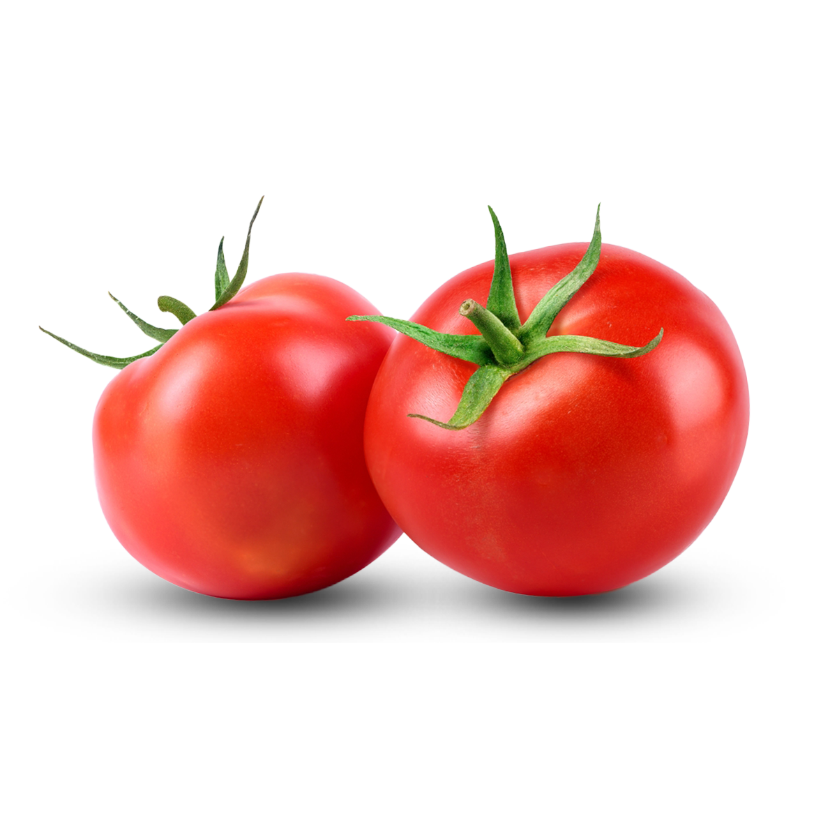 خضار طازج-خضروات فريش