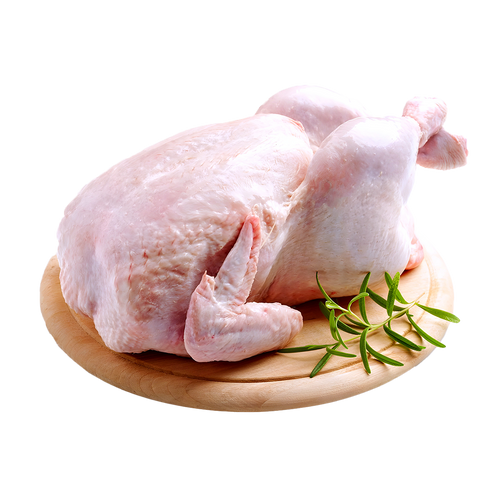 مجزر من بيتك - دواجن و طيور