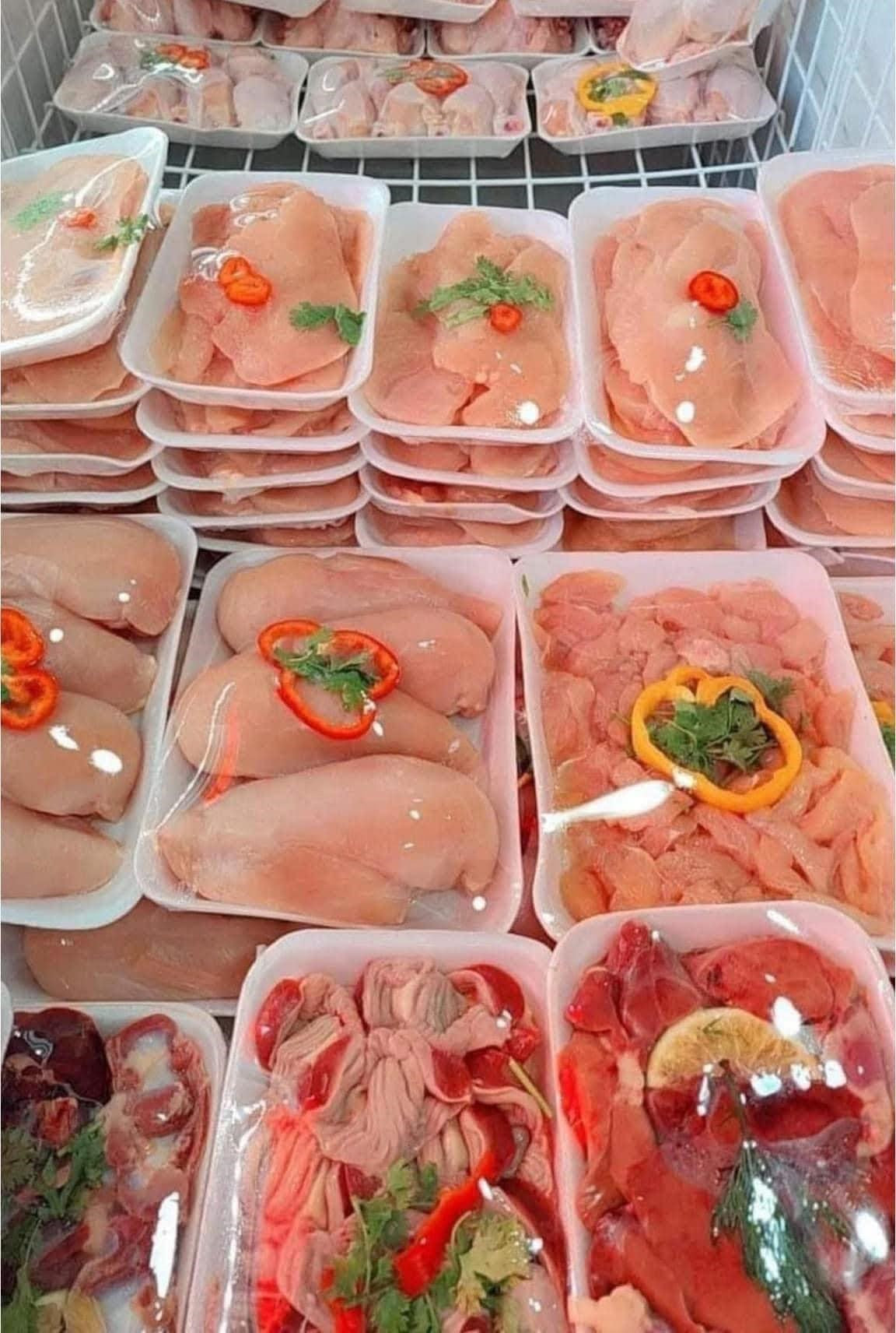 طيور بلدي