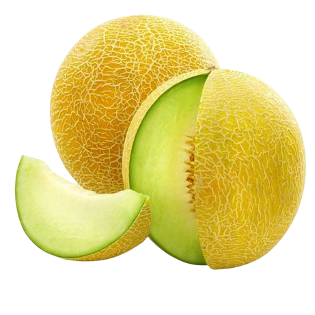 كانتلوب – كانتلوب مستورد – كانتلوب فاخر –  CANTALOUPE