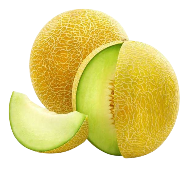 كانتلوب