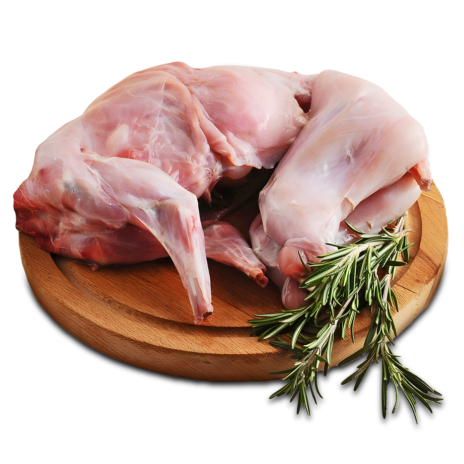 ارانب – ارنب – rabbits