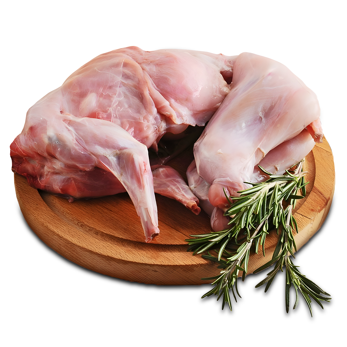 ارانب – ارنب – rabbits