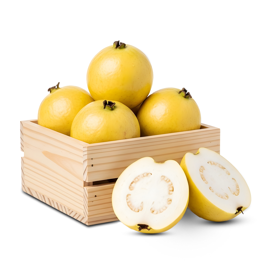 جوافة – جوافة فاخرة – كيلو جوافة – GUAVA