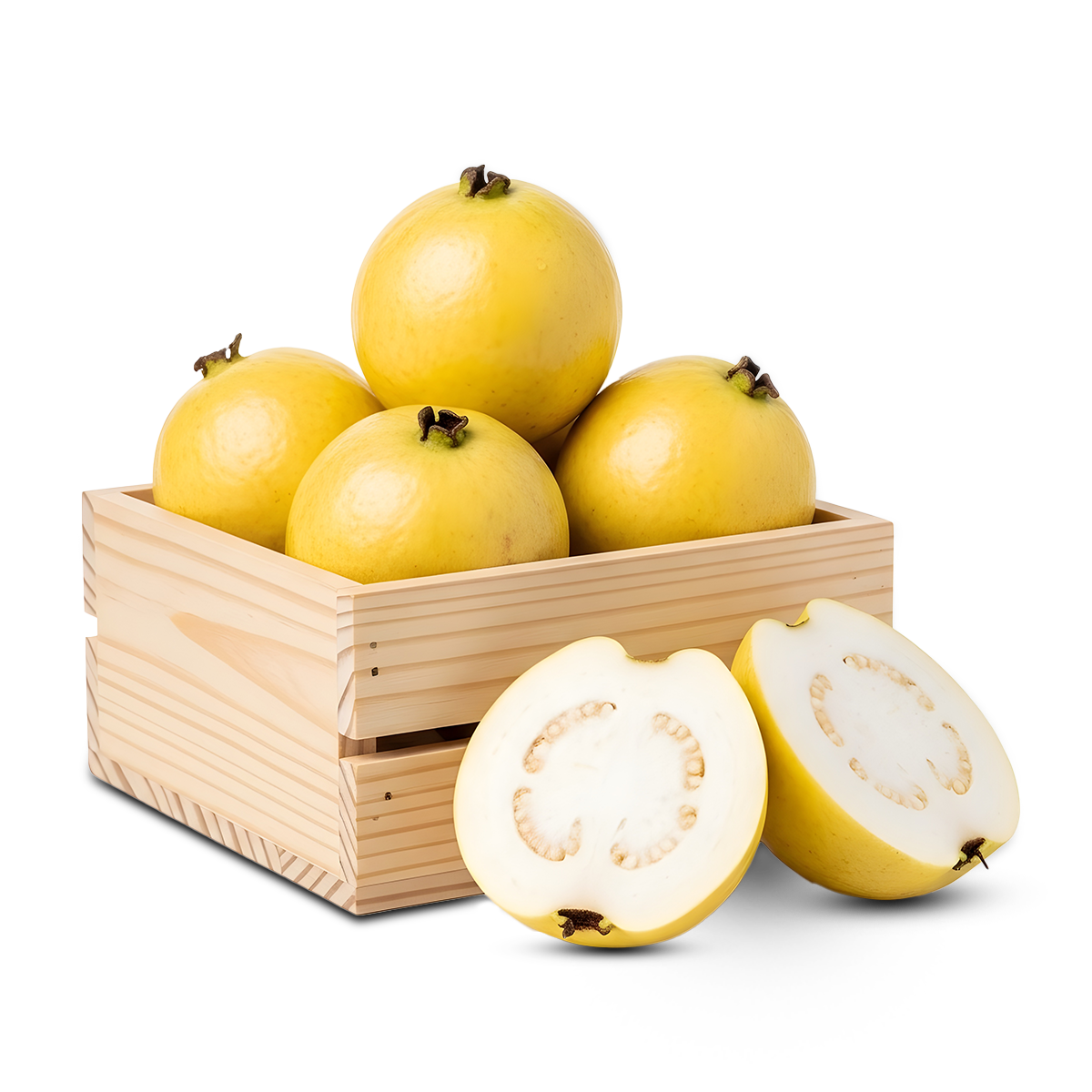 جوافة – جوافة فاخرة – كيلو جوافة – GUAVA