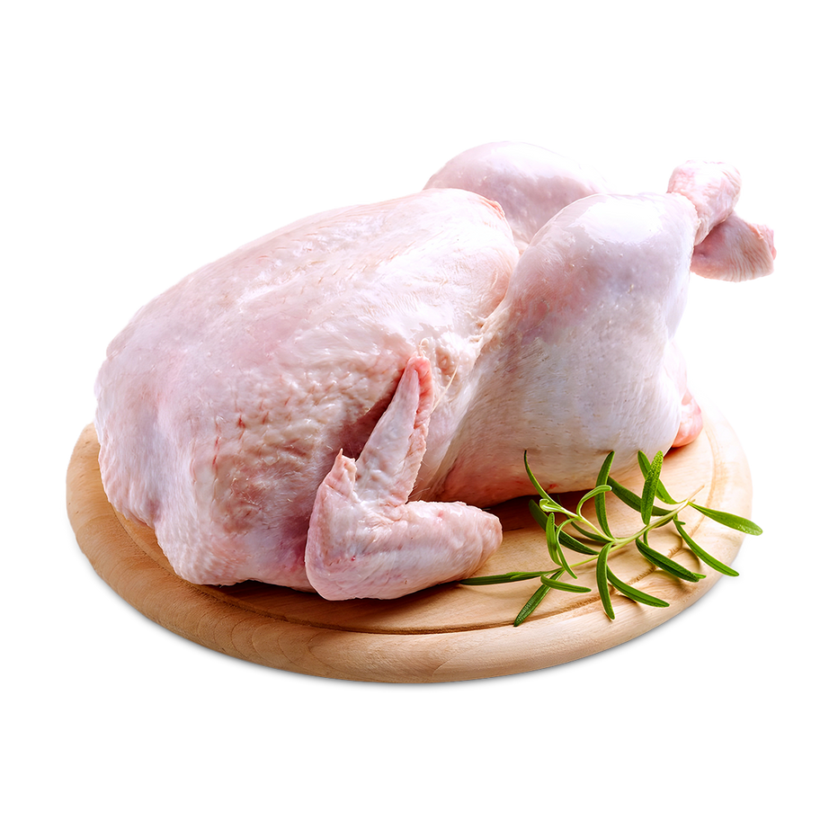 دجاج – دجاج ابيض فريش –  فراخ – CHICKEN