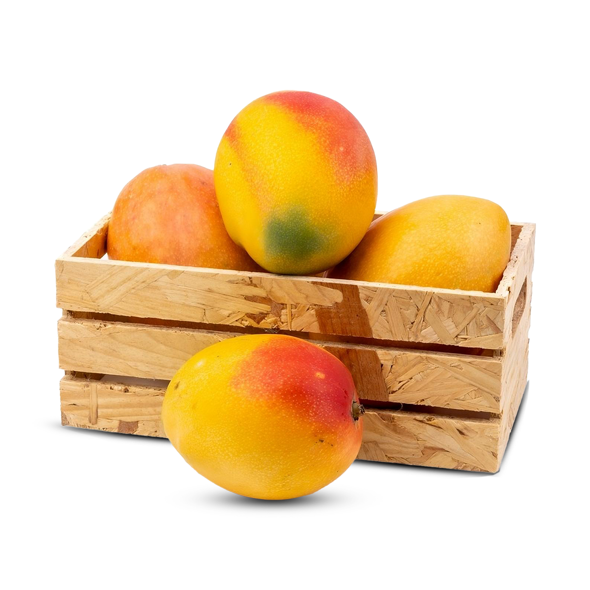 مانجو كيت – مانجو فاخر – mango – مانجو