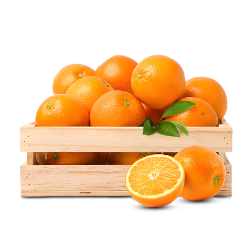 برتقال – برتقال فاخر – برتقال مستورد – ORANGE