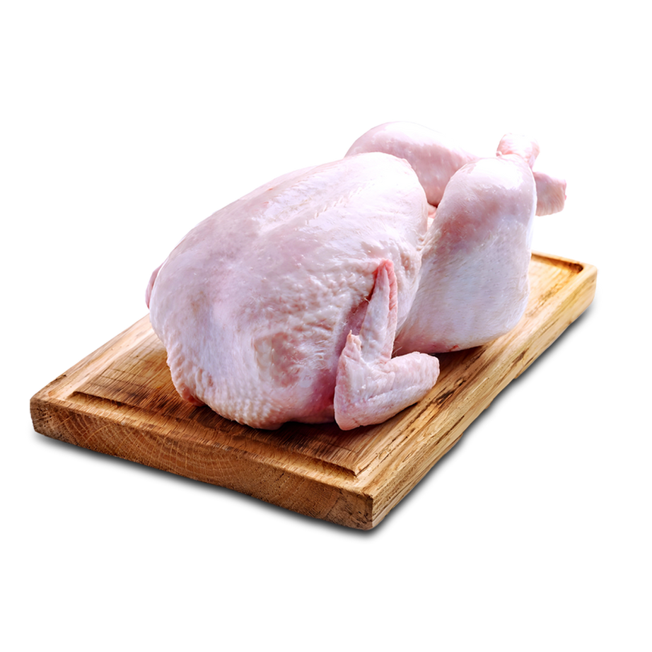 دجاج بلدي فريش  – فراخ بلدي – فراخ – CHICKEN