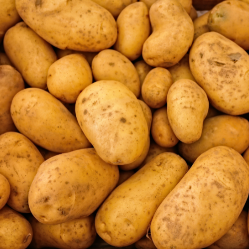 بطاطس