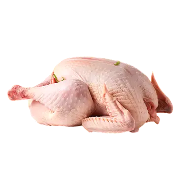 دجاج بلدي فريش