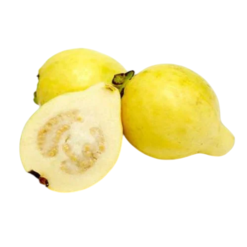 جوافة