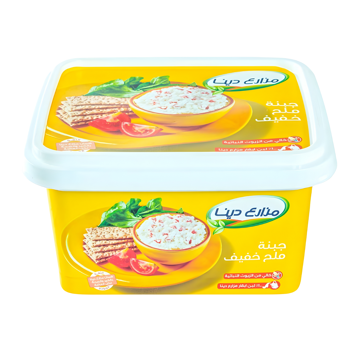 مزارع دينا جبنة بطعم الملح الخفيف