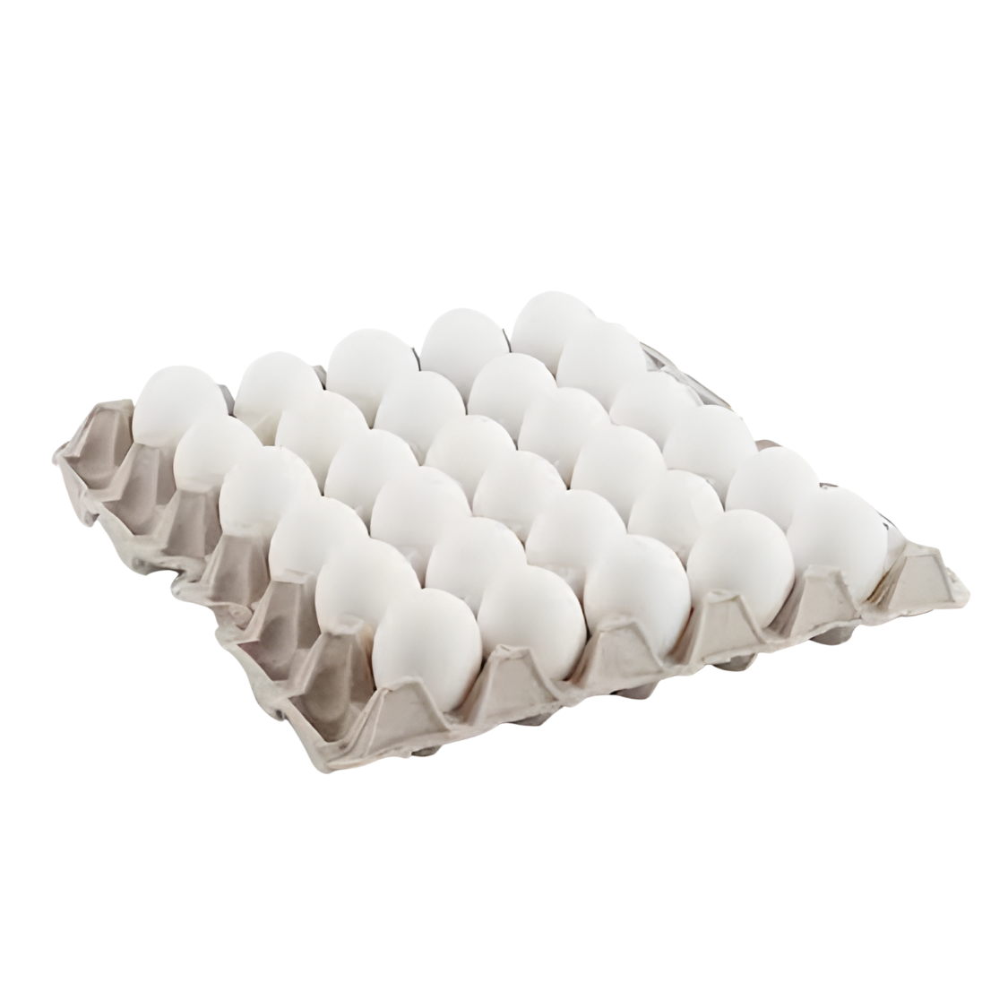 بيض ابيض – egg 