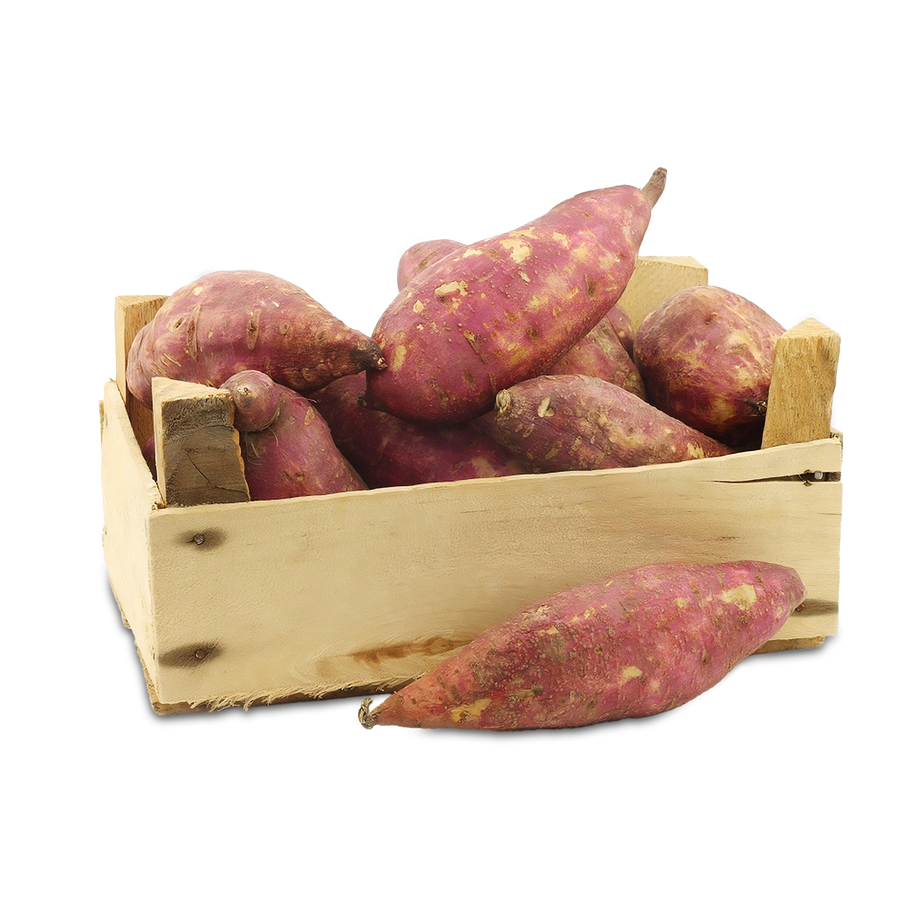 بطاطا – بطاطا فاخرة – Batata