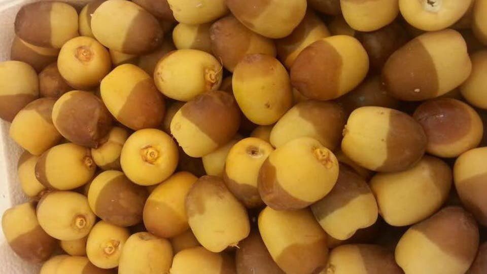 بلح رطب