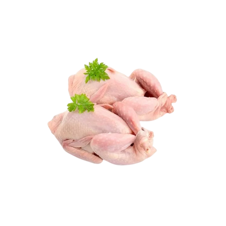 حمام جامبو