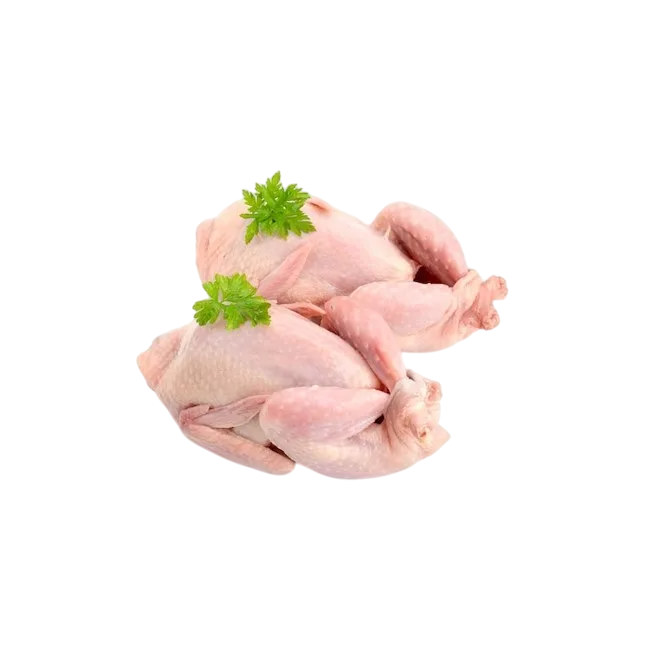 حمام جامبو