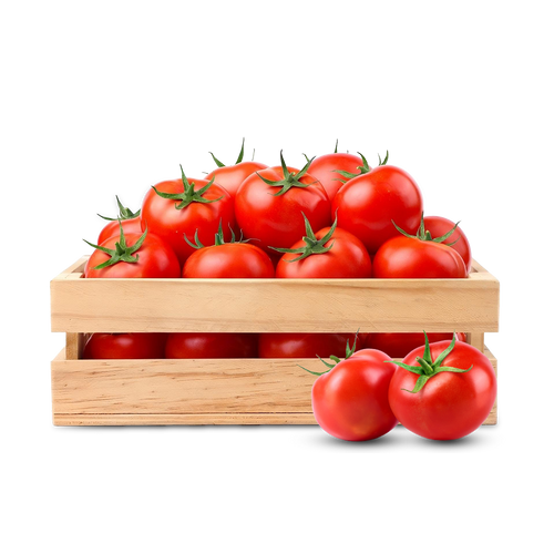 طماطم – طماطم بلدي – TOMATOES 