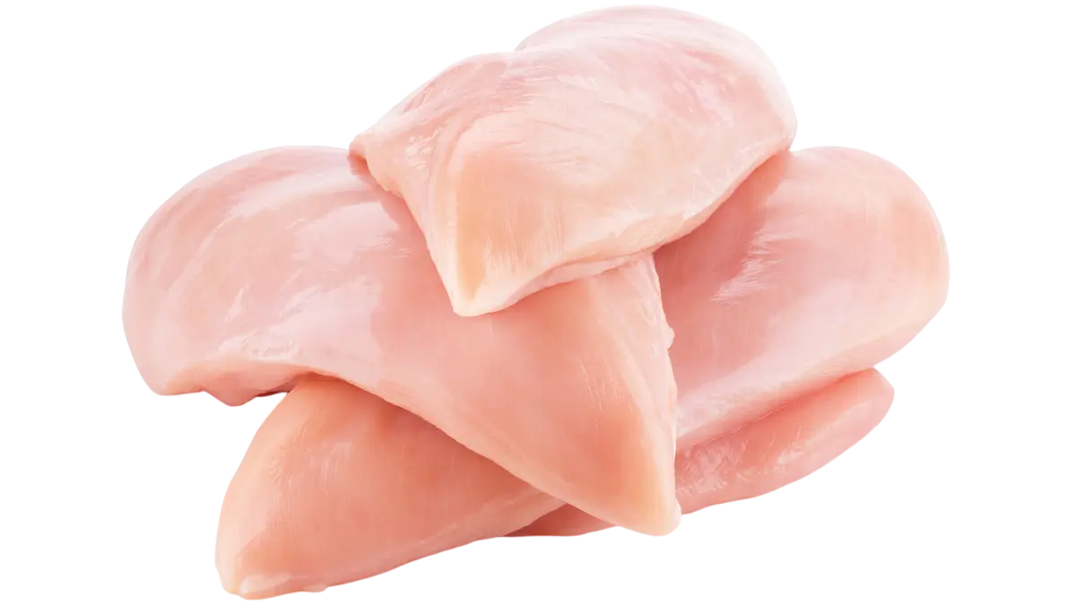 دجاج بانية فريش