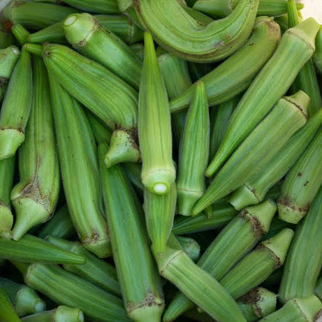 بامية خضراء
