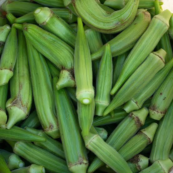 بامية خضراء