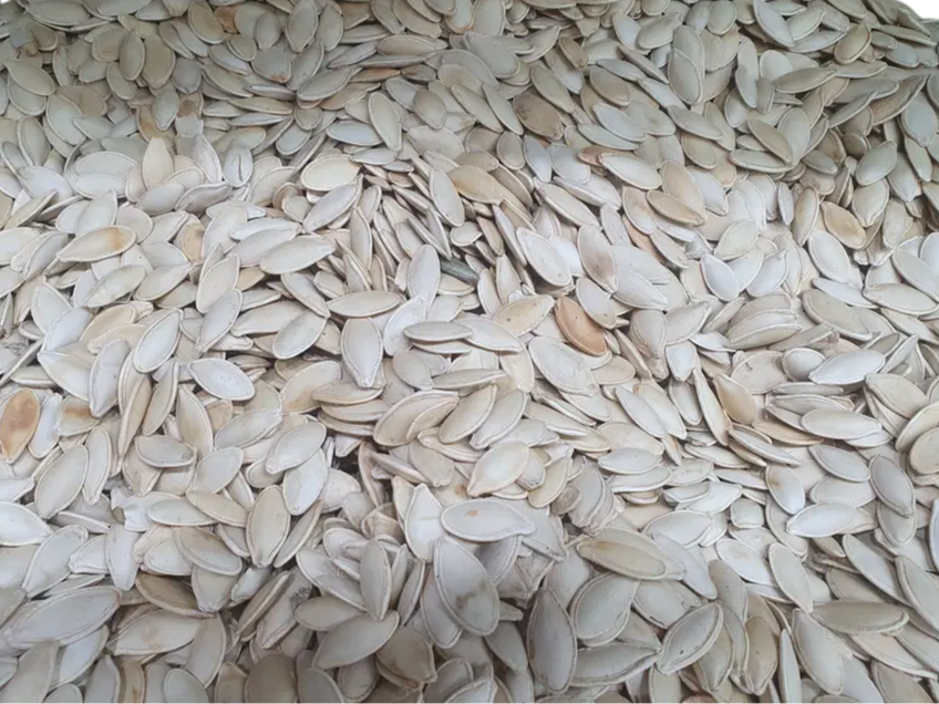 لب ابيض (بدون ملح)