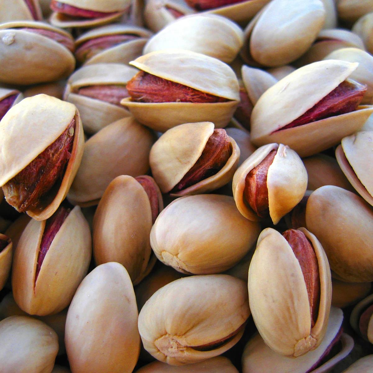 فستق