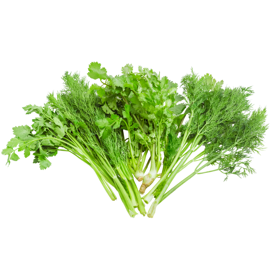 خضرة مشكلة_شبت-بقدونس-كزبرة