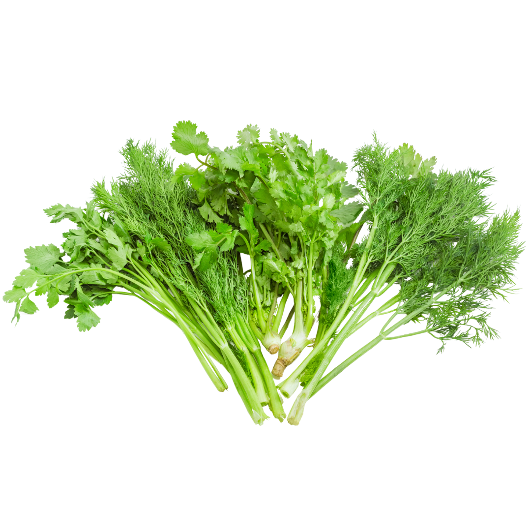 خضرة مشكلة_شبت-بقدونس-كزبرة