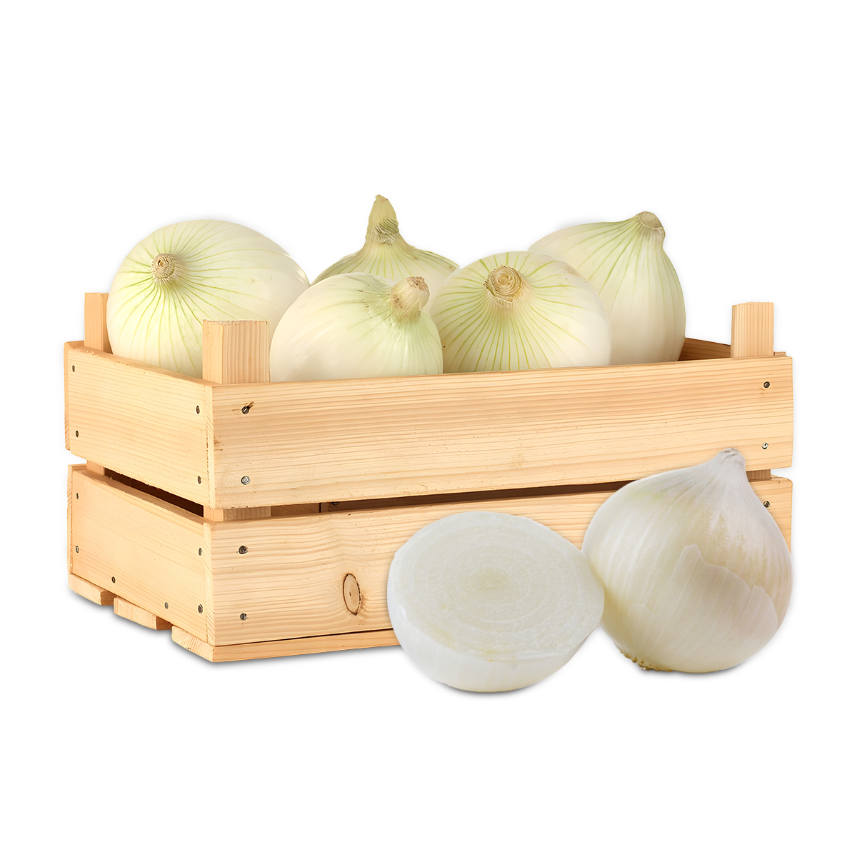 بصل ابيض  – بصل  – WHITE ONION